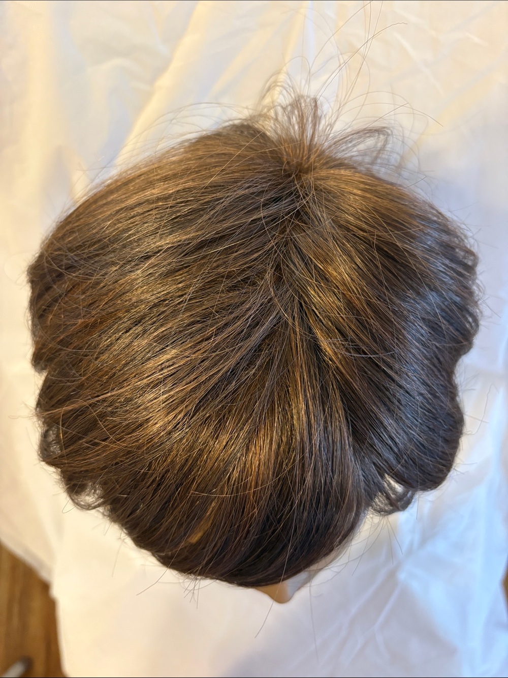 Raquel Welch Born to Shine Wig NWOT - Picture 4 of 13